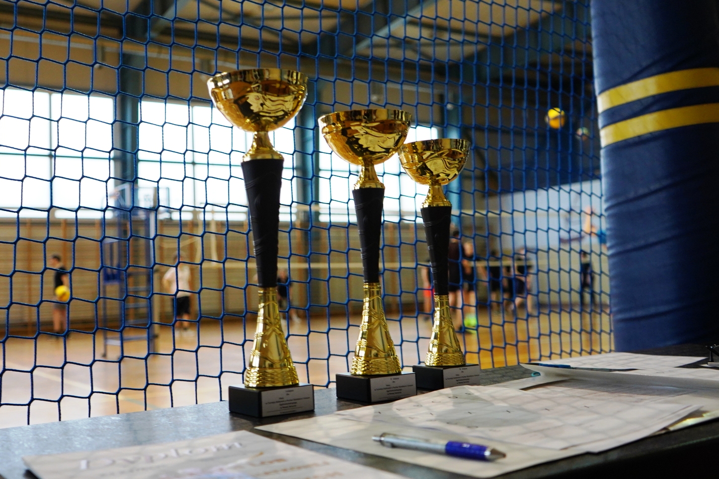 Turniej Piłki Siatkowej o Puchar Dyrektora I LO w Nowej Sarzynie